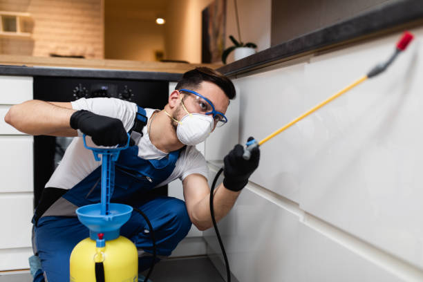 Best Exterminator Services  in Hartselle, AL