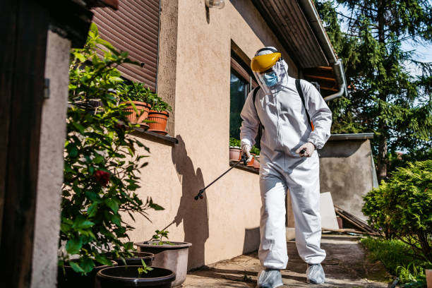 Professional Pest Control in Hartselle, AL