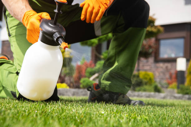 Best Local Pest Control Services  in Hartselle, AL