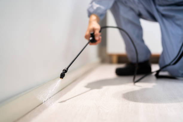 Best Pest Prevention Services  in Hartselle, AL