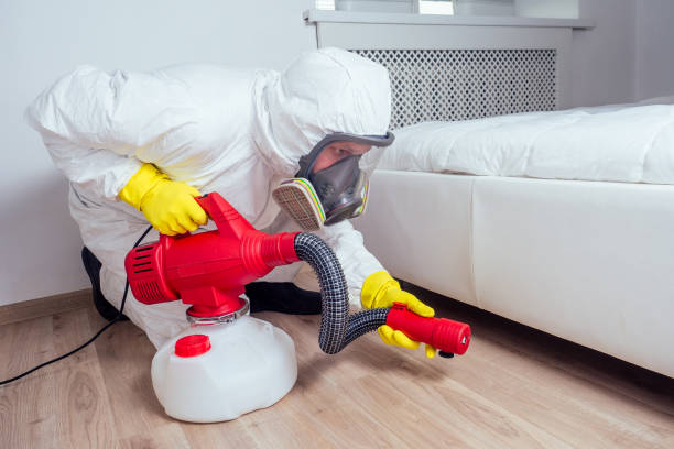 Best Best Pest Control Companies  in Hartselle, AL