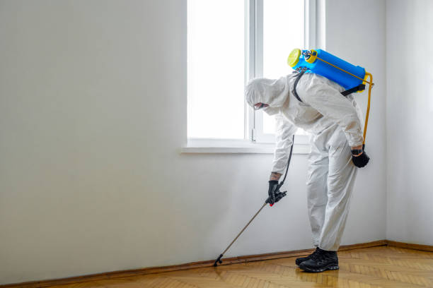 Best Flea Control Services  in Hartselle, AL
