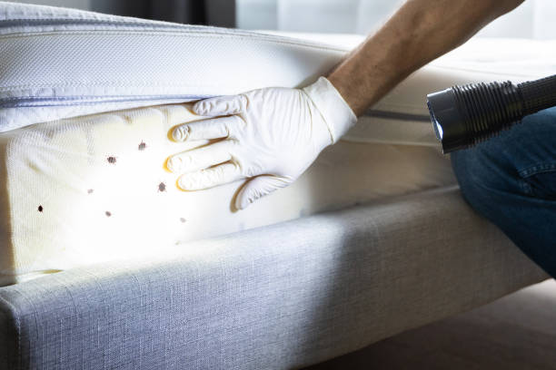 Best Residential Pest Control  in Hartselle, AL