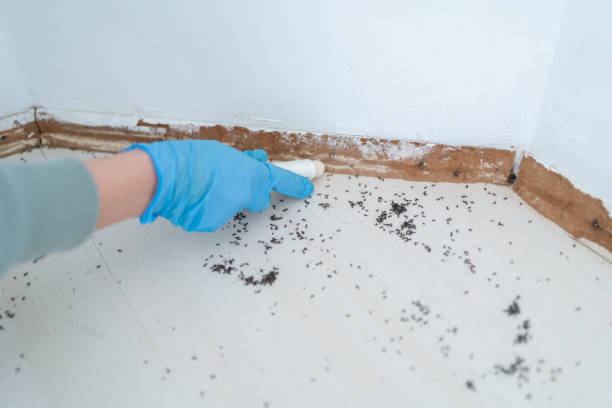 Best Pest Control for Restaurants  in Hartselle, AL