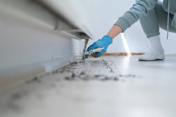 Best Pest Removal Services  in Hartselle, AL