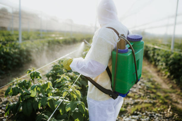 Best Flea Control Services  in Hartselle, AL